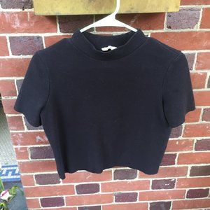 Zara Cropped Turtleneck Top